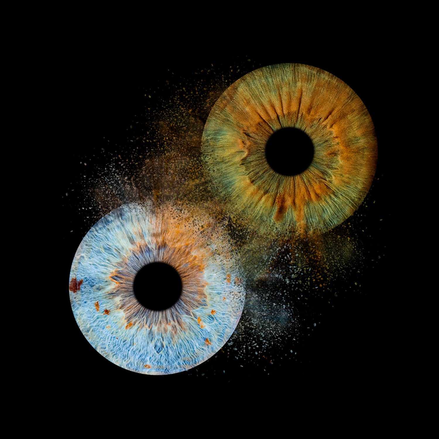 Eyecon - Iris Signature | TWO