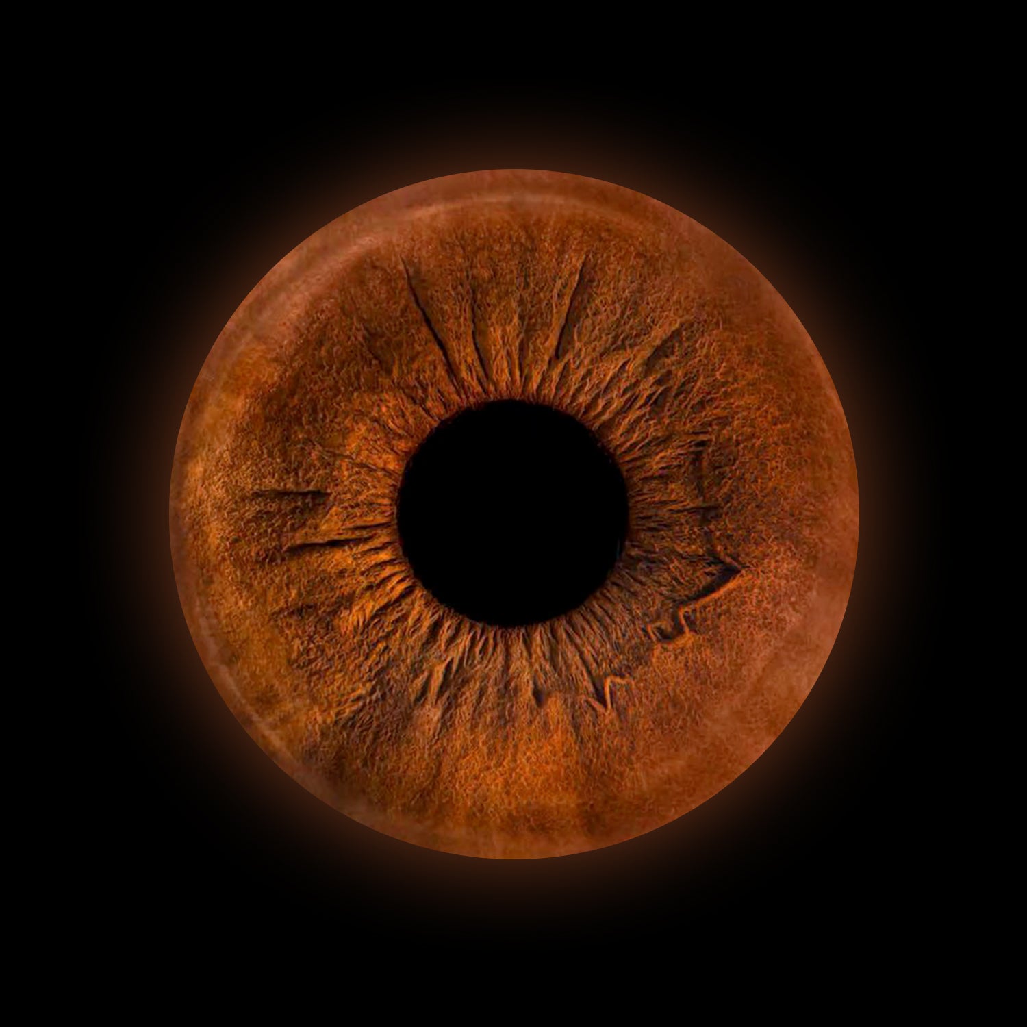 Eyecon - Iris Signature | ONE