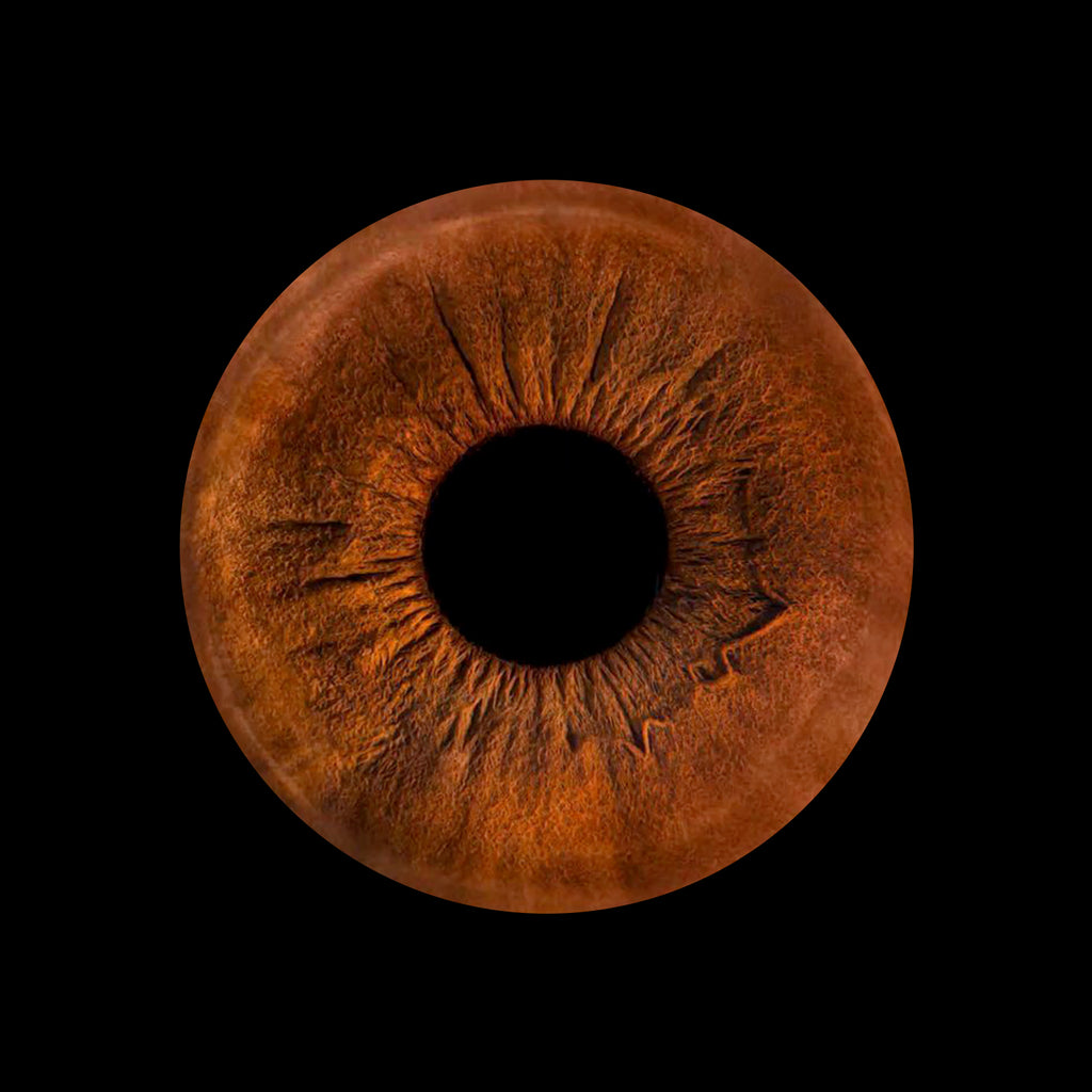 Eyecon - Iris Signature | ONE