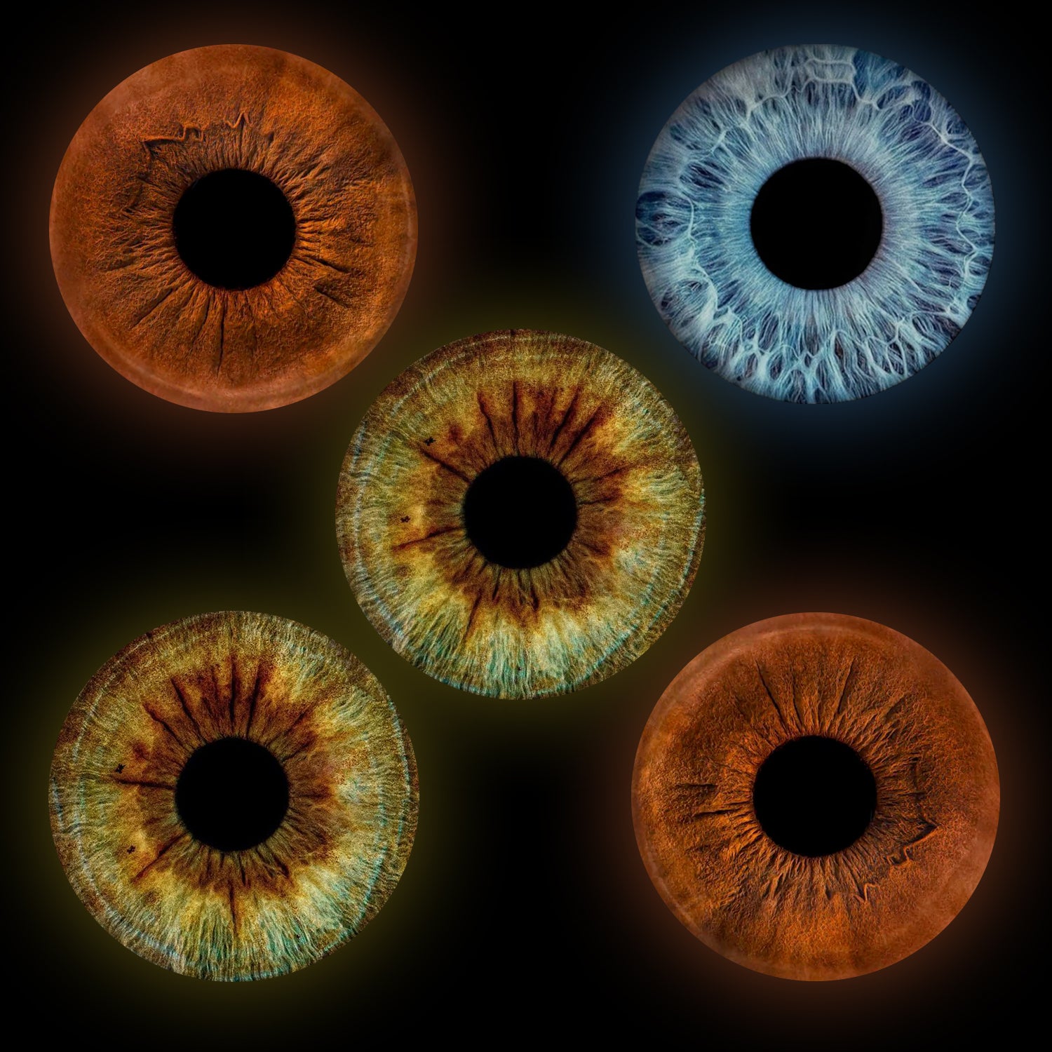 Eyecon - Iris Signature | FIVE