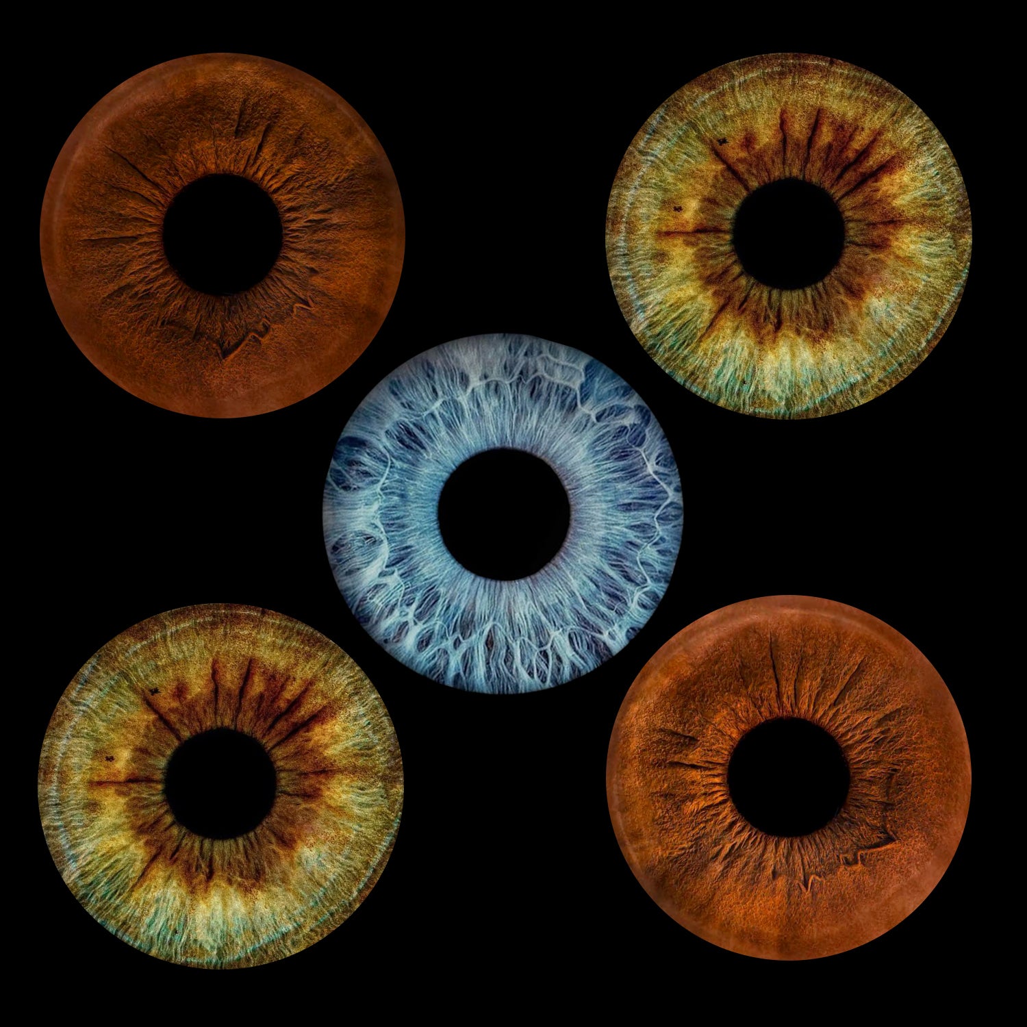 Eyecon - Iris Signature | FIVE