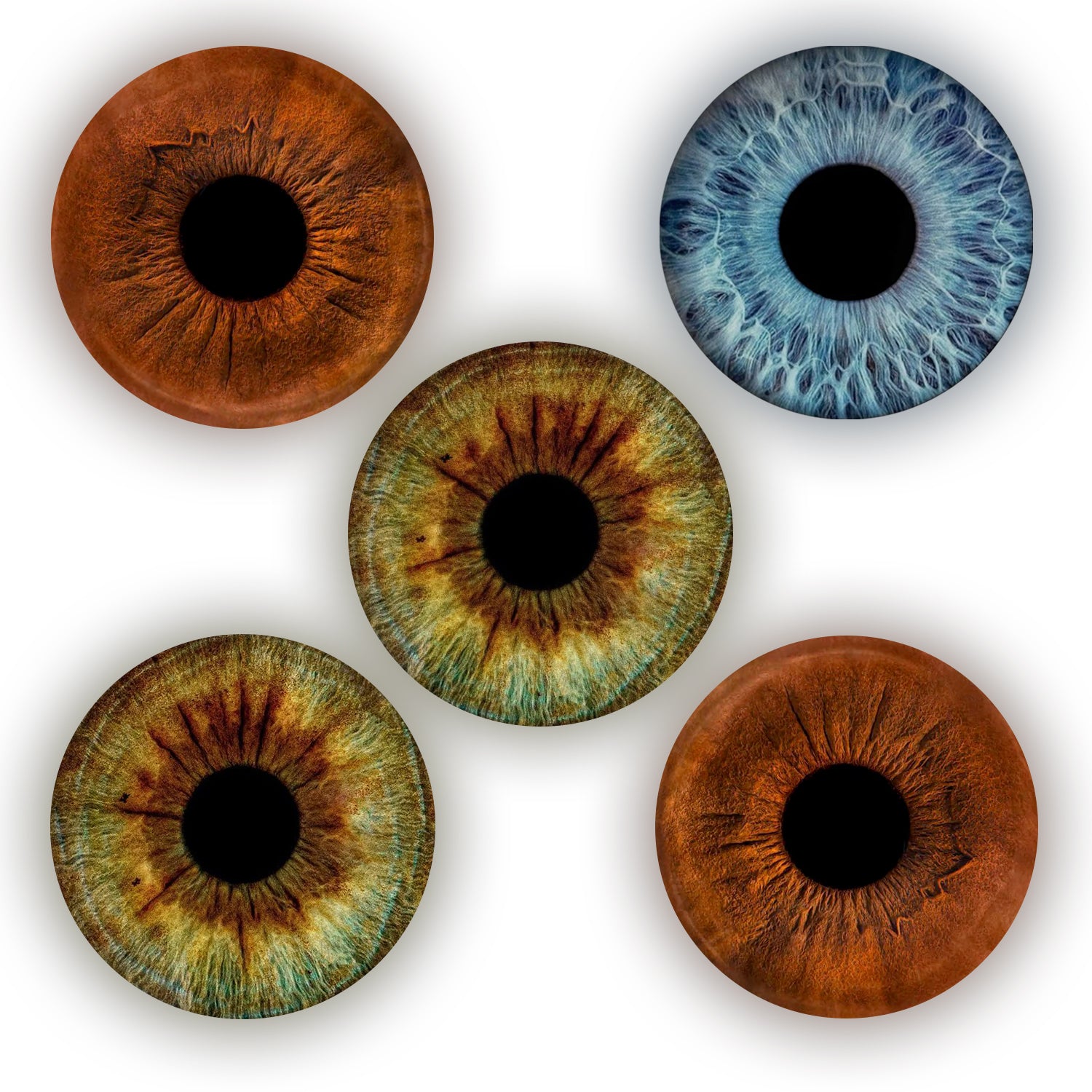 Eyecon - Iris Signature | FIVE