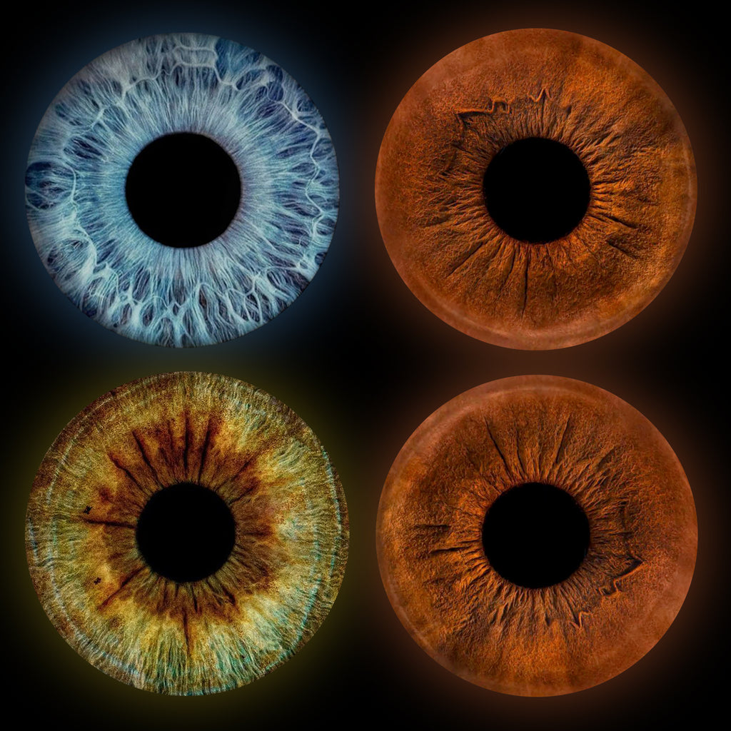 Eyecon - Iris Signature | FOUR