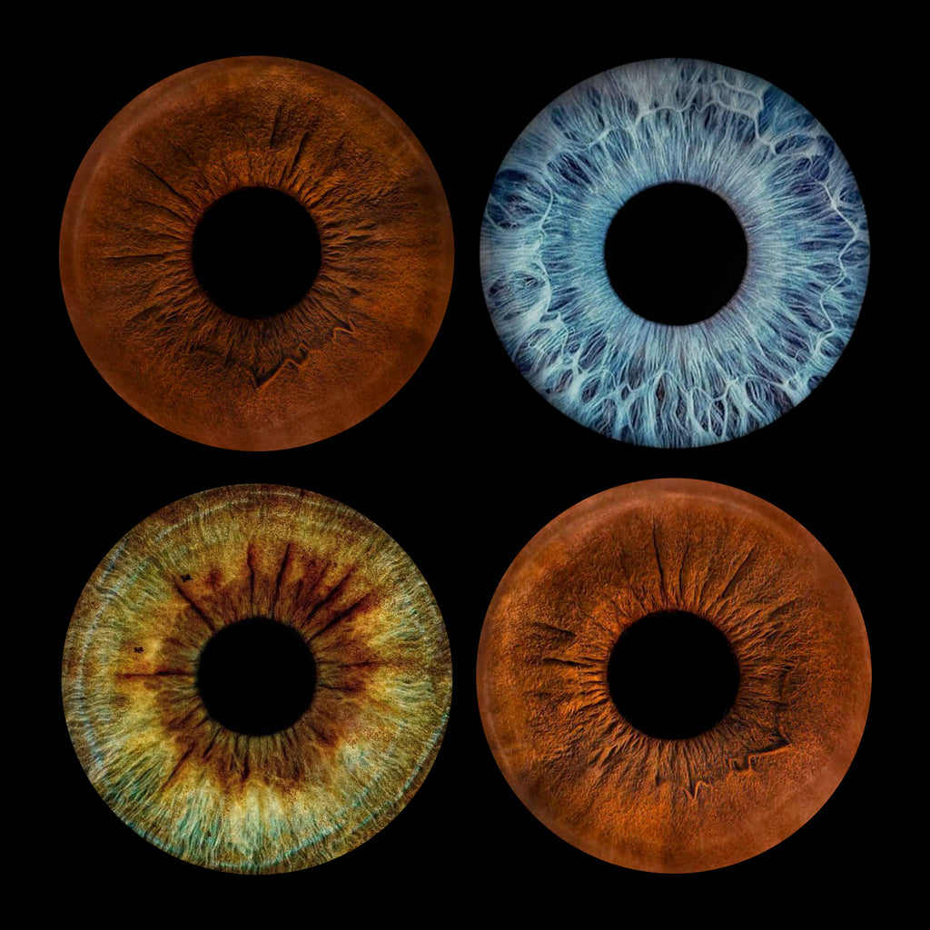 Eyecon - Iris Signature | FOUR