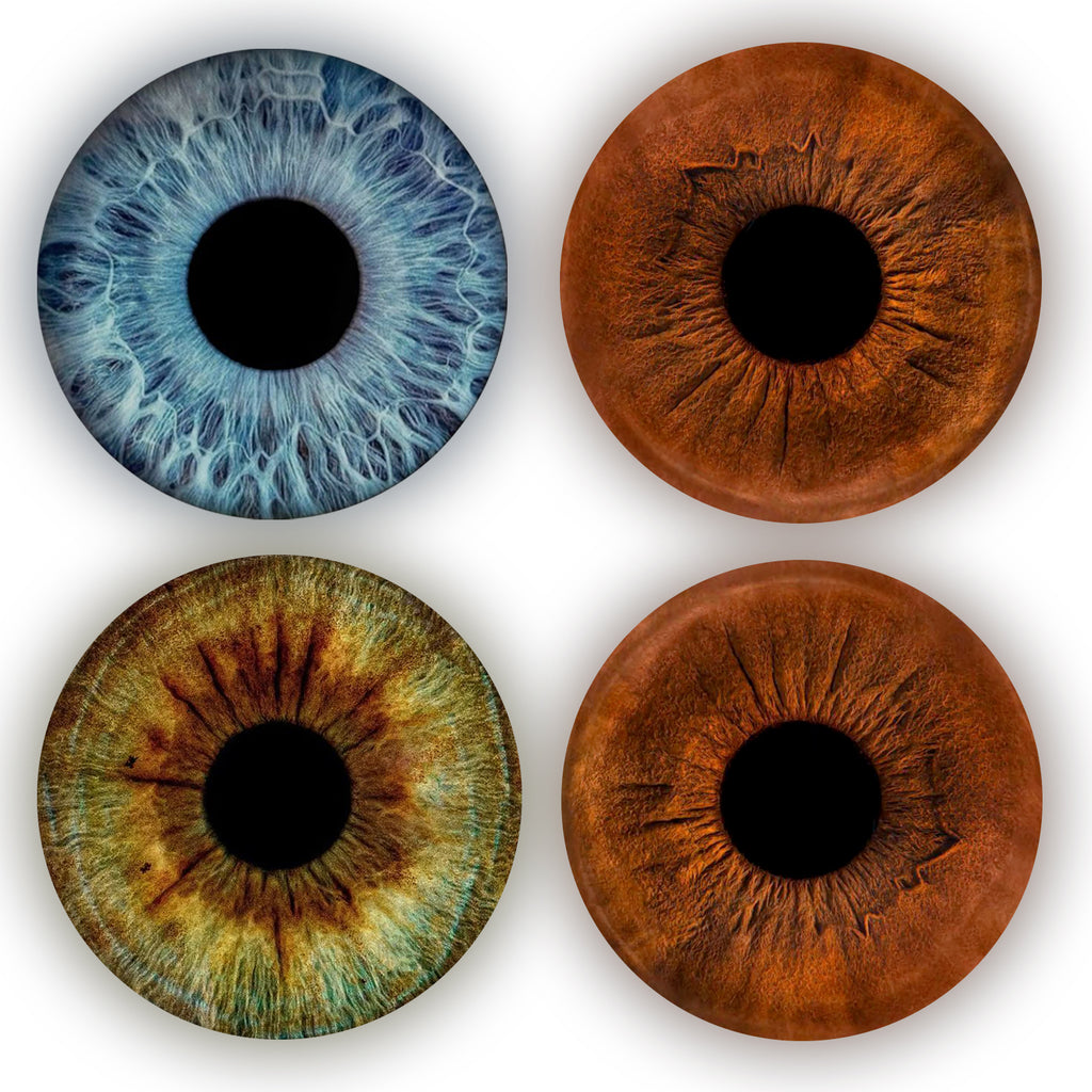 Eyecon - Iris Signature | FOUR