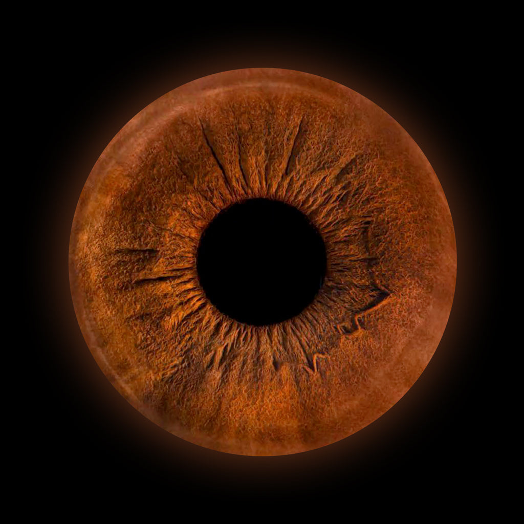 Eyecon - Iris Signature | ONE