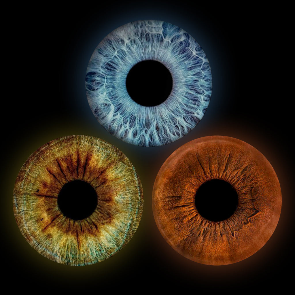 Eyecon - Iris Signature | THREE