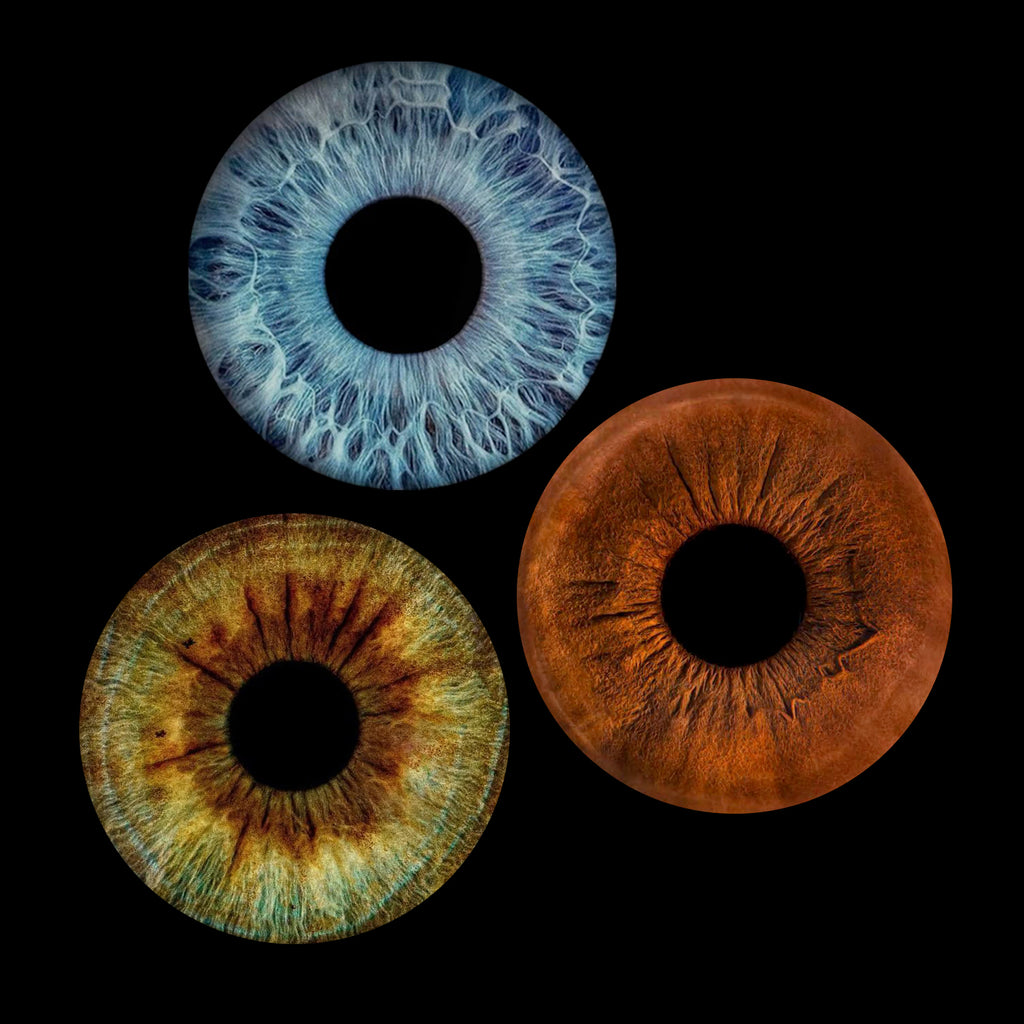 Eyecon - Iris Signature | THREE