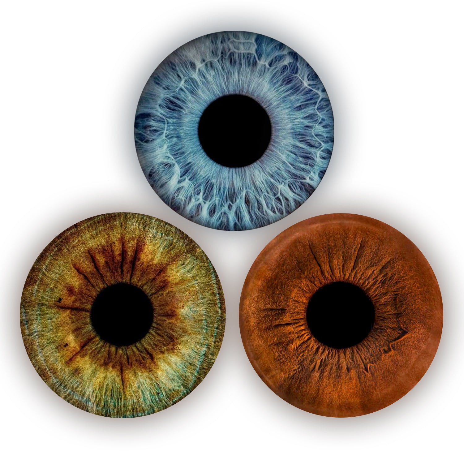 Eyecon - Iris Signature | THREE