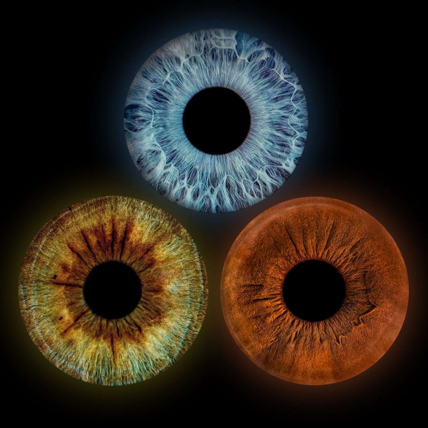 Eyecon - Iris Signature | THREE