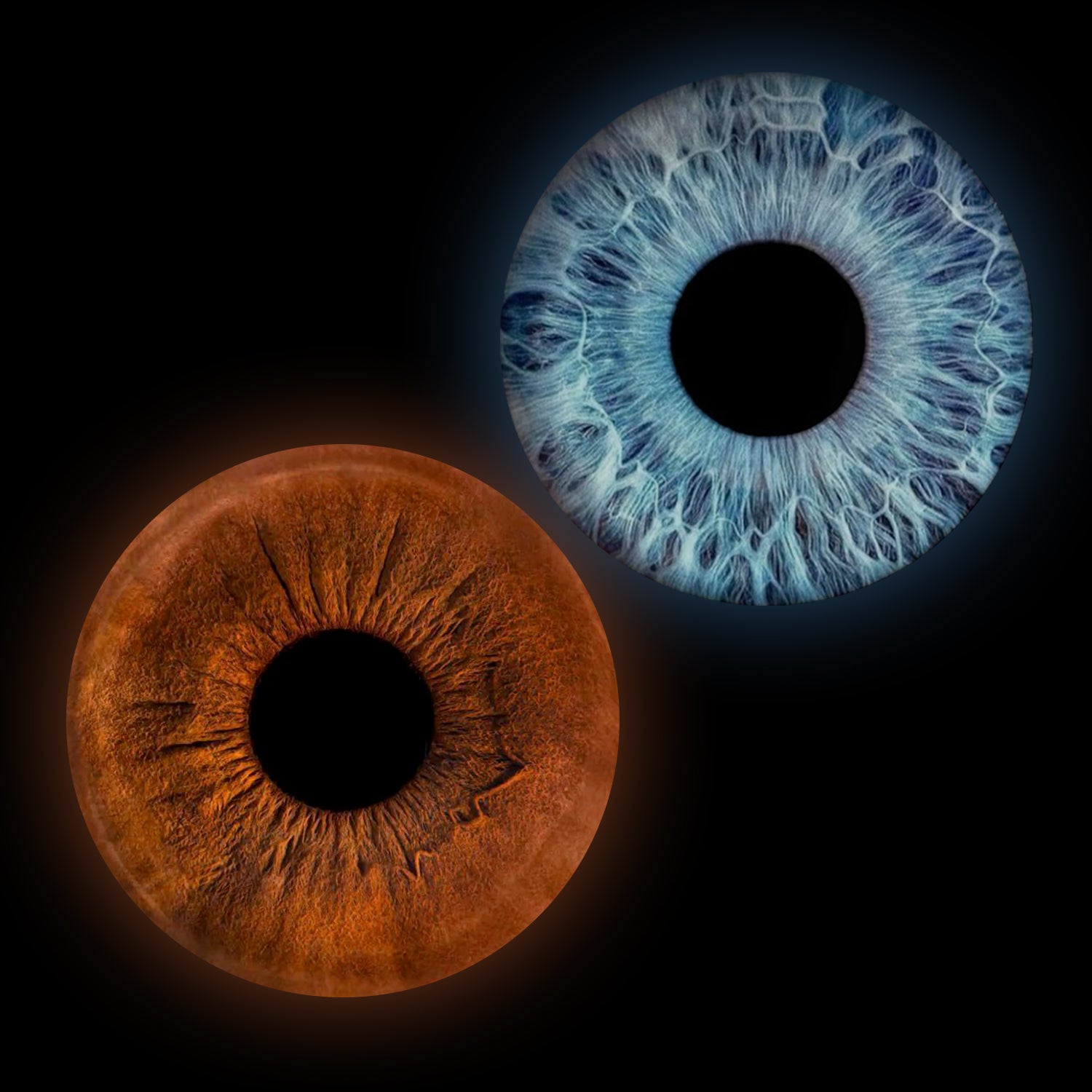 Eyecon - Iris Signature | TWO